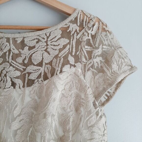 TADASHI SHOJI Embroidered Lace Cap Sleeve Blouson Knee Length Cream Dress Sz 6 - Picture 4 of 15
